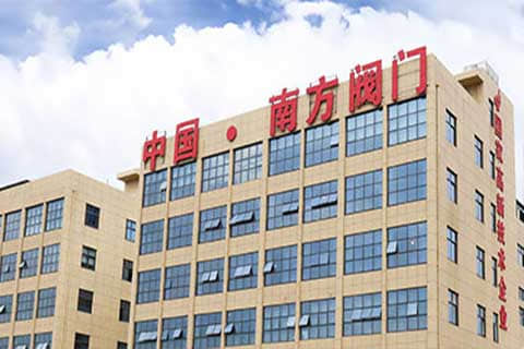 南方閥門集團外貿獨立站建設與谷歌SEO/SEM推廣
